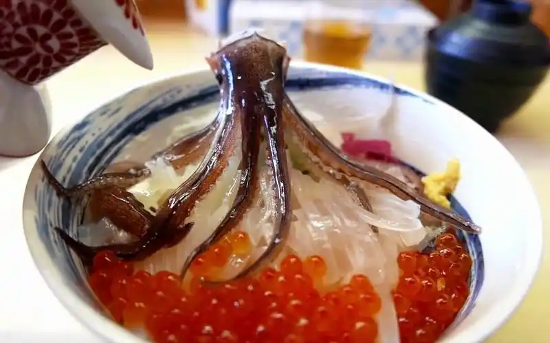 日本人非常喜欢吃的鱿鱼刺身 体验鲜活筋道的好海洋气息!