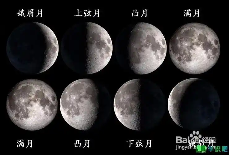 周期是一个月,按数序来分别是(如图):新月→娥眉月→上弦月→凸月