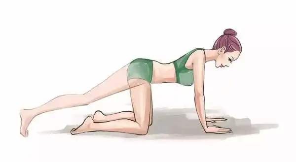 动作3 跪姿伸腿