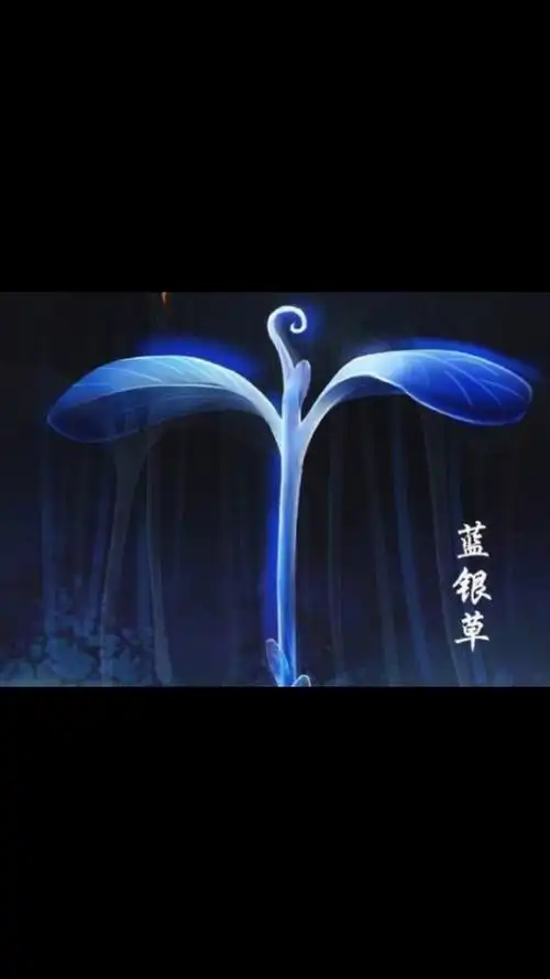 蓝银草比昊天锤找的多