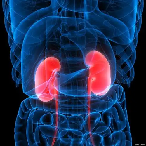 7大器官都怕什么