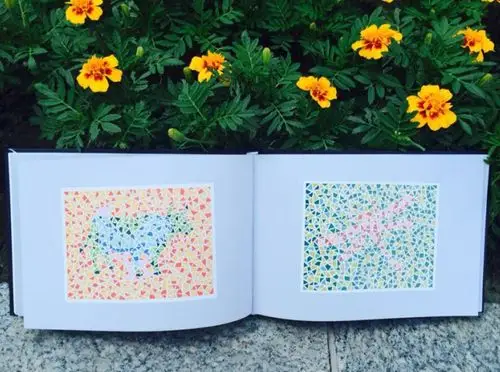 俞自萍 著 驾照/体检色盲色弱测试检查检测图 色盲本辨色图谱测色盲书