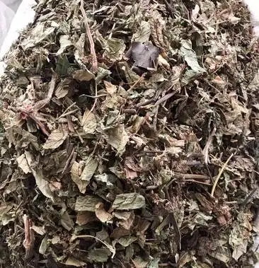 [火炭母草批发]火炭母草 火炭母 一公斤起发 请按照起批量下单价格5.