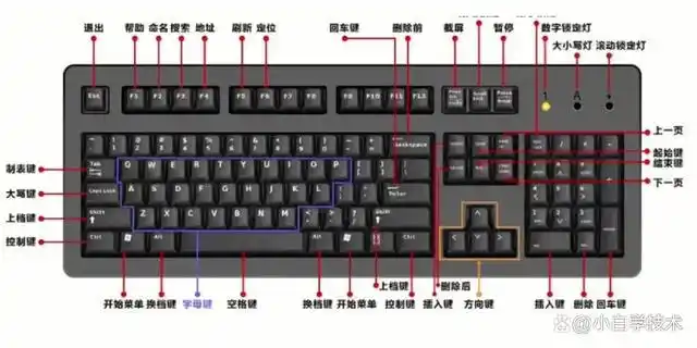 功能键 包含f1-f12的一排按键,用于执行不同的特殊功能,如打开帮助