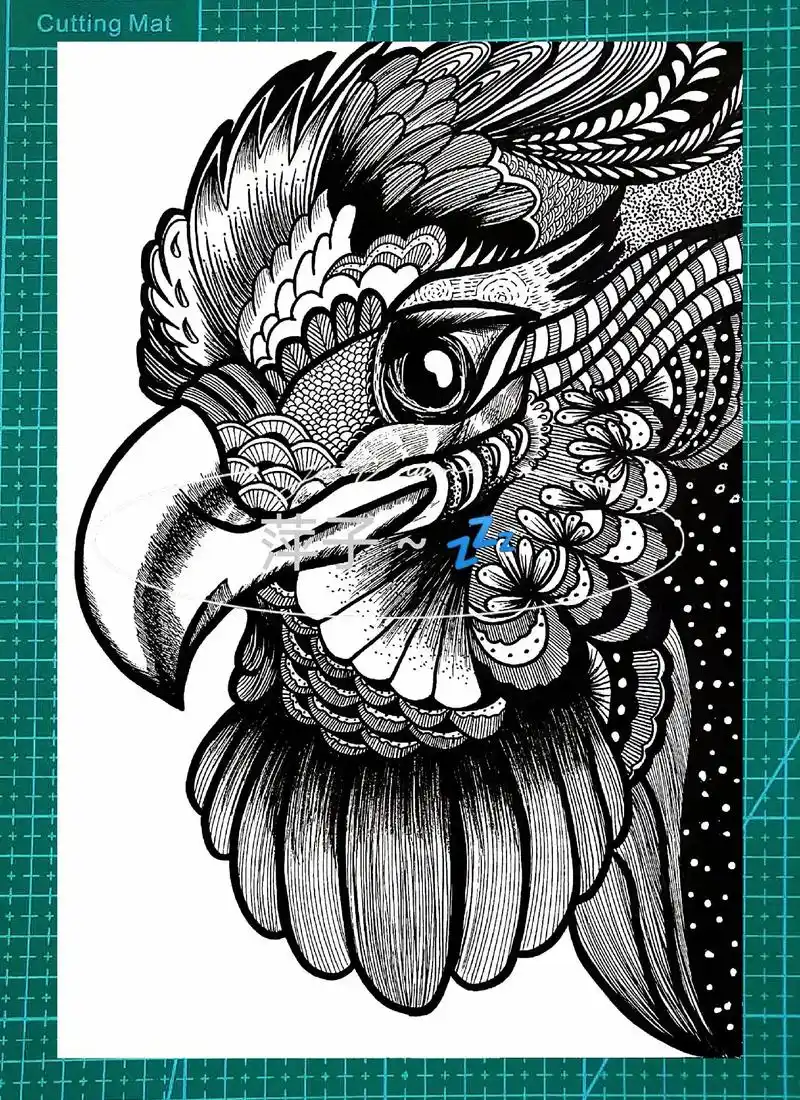 线描装饰画 #线描画 #老鹰 #黑白线描装饰画  - 抖音