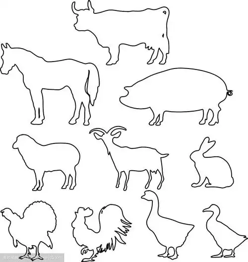 农场动物的轮廓是线条风格的