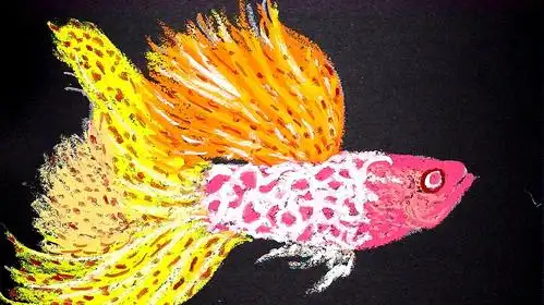 02:49  来源:好看视频-人物简笔画  绘画步骤 服务升级 3热带鱼