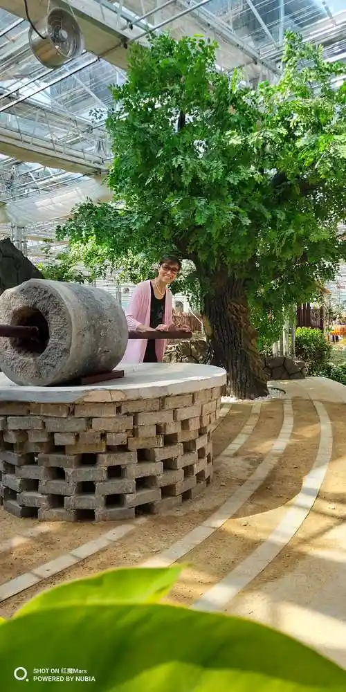 大同农业嘉年华一日游