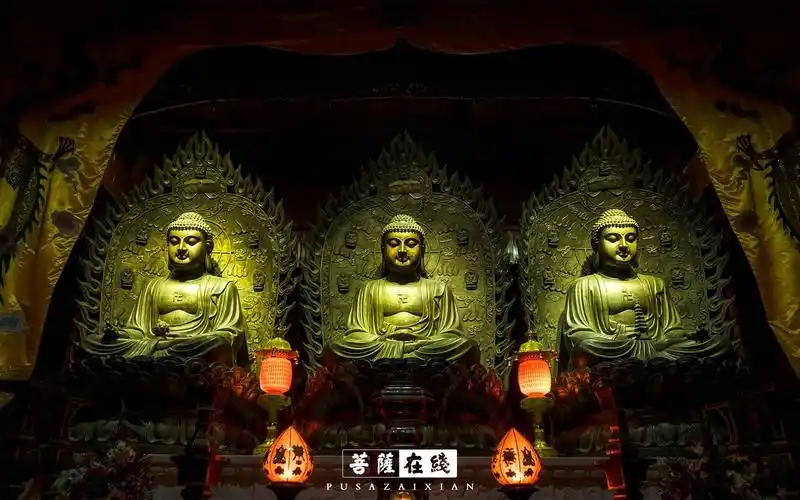 三圣or三世佛,这几组佛像你都认识吗?