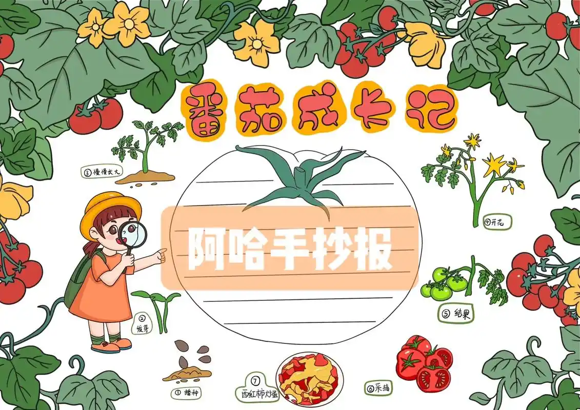 植物的生长过程 番茄成长记 记录植物的生.#小学生手抄报 # - 抖音
