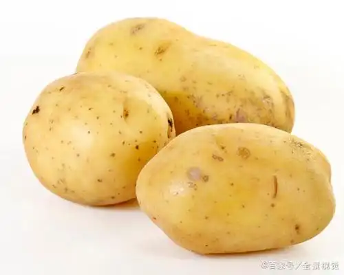 懒人快手菜,椒盐干煸土豆丝,只需1个土豆,椒香扑鼻,酥脆好吃