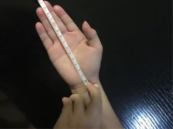 我的手掌整个长度大概15厘米