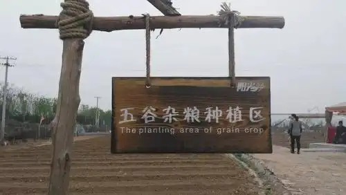 寿光阳光春天家庭农场开园啦