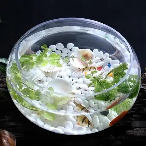 玻璃鱼缸创意扁口椭圆形精美透明金鱼缸迷你水族箱鱼缸