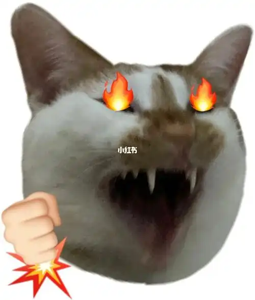 存一个丑猫表情包