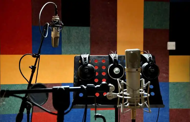 木屋男237配音-配音员-木屋配音网-吉林鑫雅文化艺术有限公司旗下专业