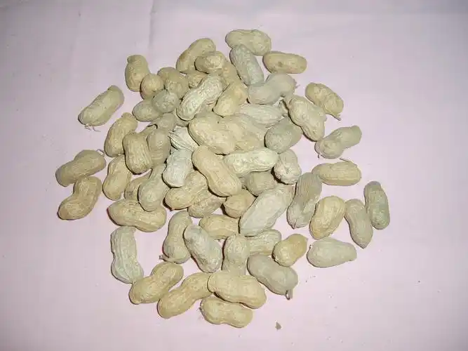 红安县火连畈双赢花生加工厂