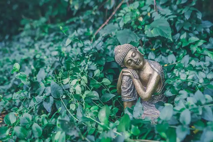 高清佛像图片大全好看的佛像大图一览