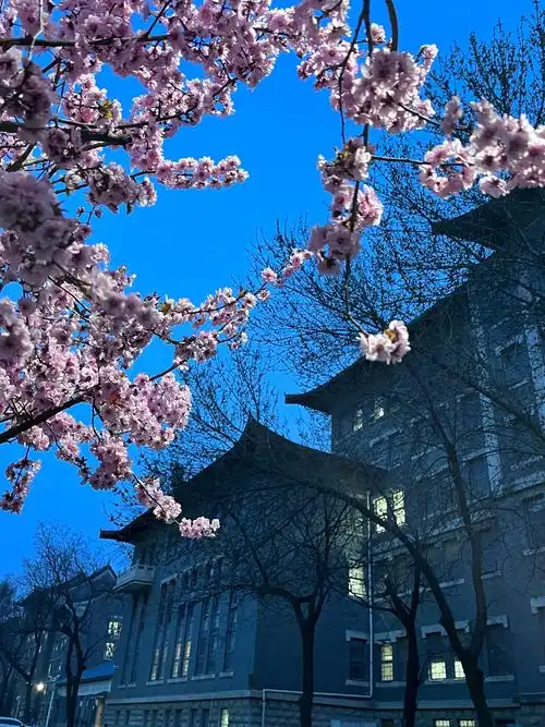 校园景色是真的美,怀念自己的校园时光#分享治愈系风景 #校园美景