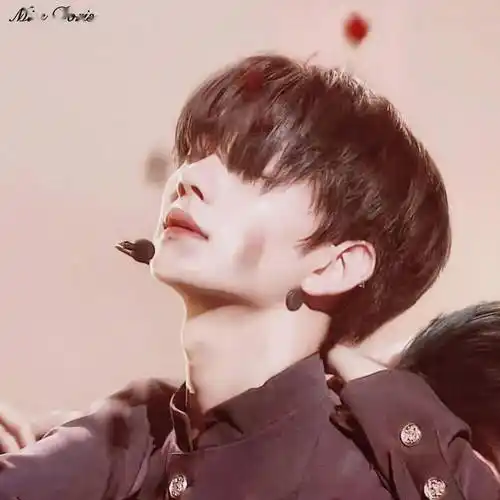 微信头像seventeen洪知秀