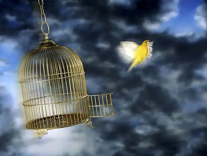 br> br>打开鸟笼的门 br>让鸟自由的飞出又飞入 br>鸟笼从此成了天空