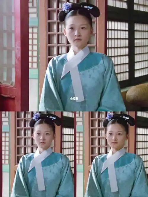 求问甄嬛传十级学者这位小宫女姓甚名谁