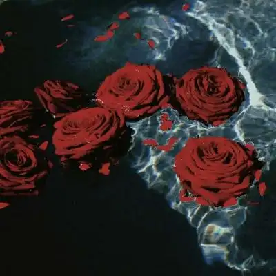 稍带暗色的玫瑰花束头像图片