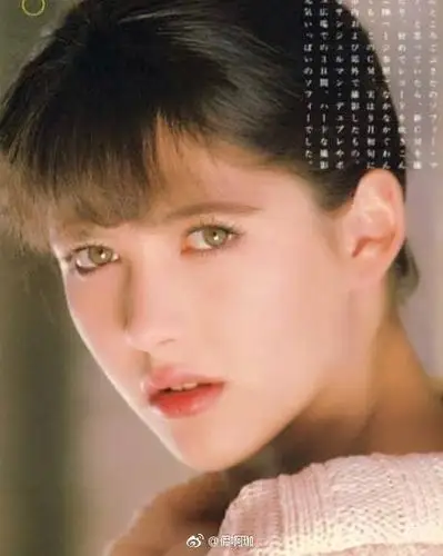 苏菲玛索美图楼