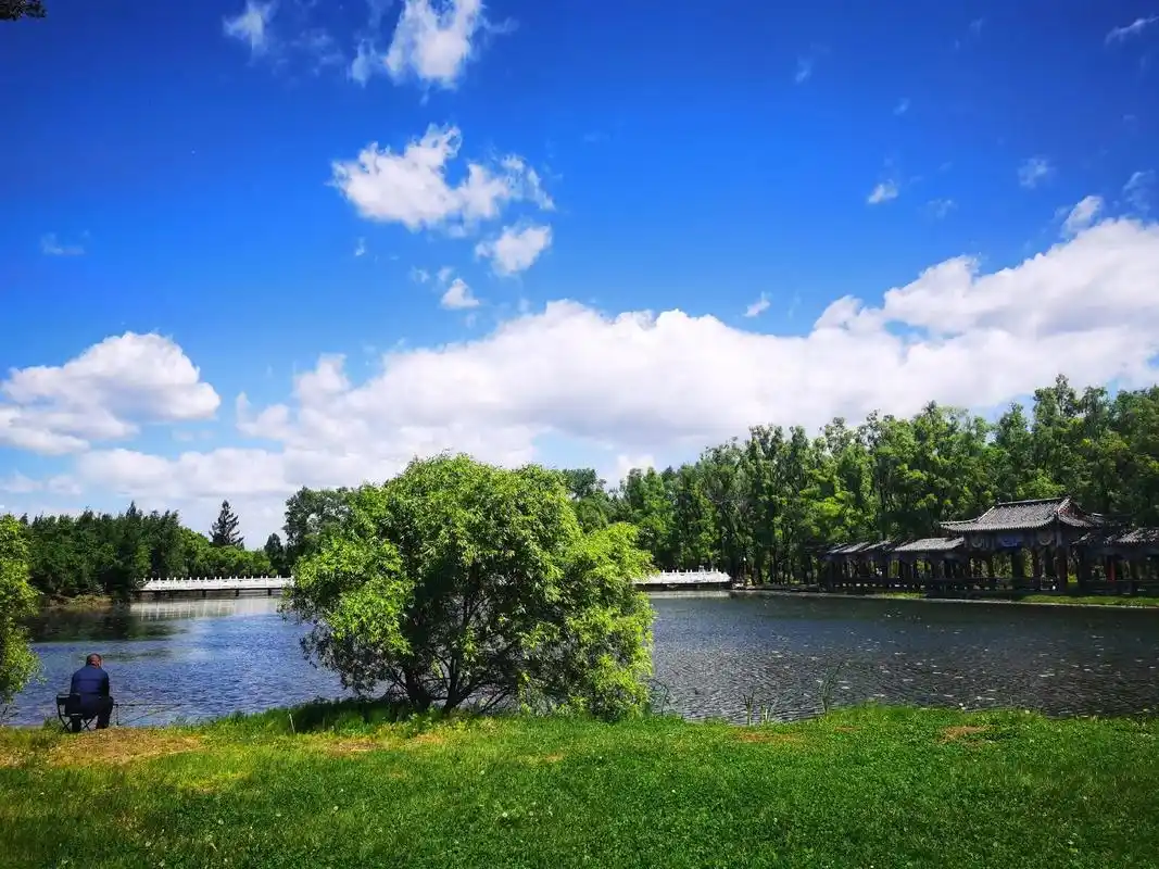 蓝天,白云,绿树,红花,夏天的景色也让人心醉.#丁玲公园#治 - 抖音