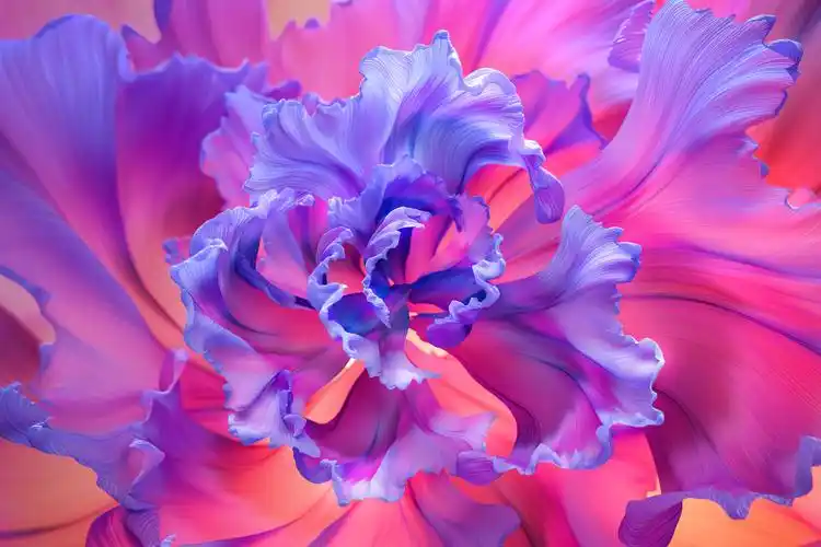 有没有适合ipad的壁纸呀