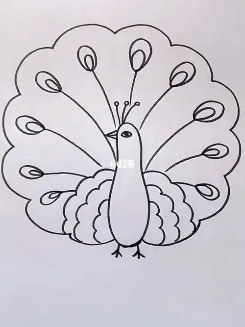 蓝孔雀绘画简笔画