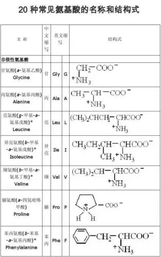 20种常见氨基酸的名称和结构式