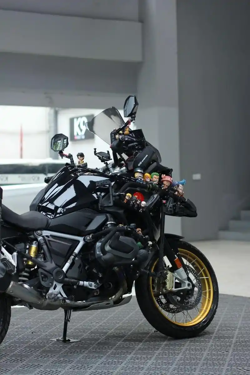 宝马水鸟摩托车黑武士改色  94这是一台宝马r1250gs大水鸟 94摩友