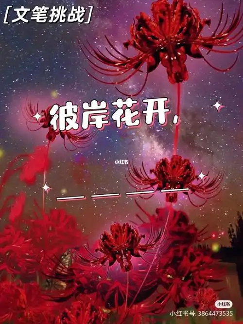 文笔挑战一彼岸花花语