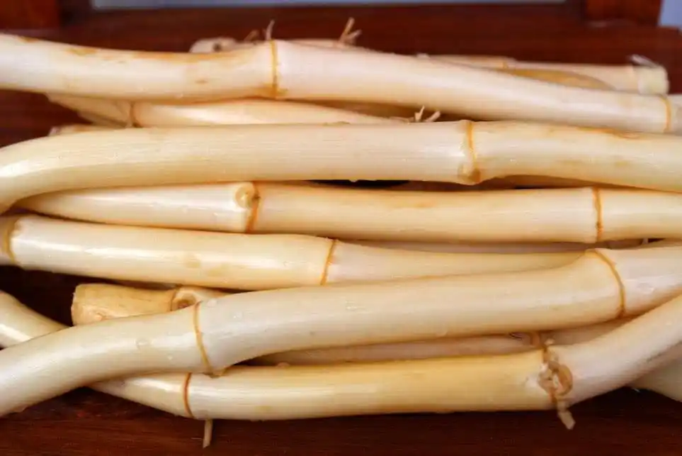 一是茅根,这种野草细细长长的,记得小时候吃过几次,味道甜甜的,还有些