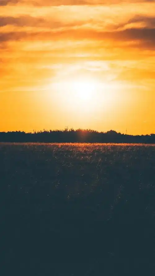 夕阳,草地,田野 1080x1920 iphone 8/7/6/6s plus 壁纸,图片,背景