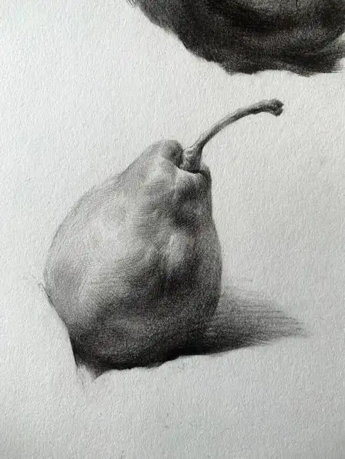素描静物单体刻画梨子