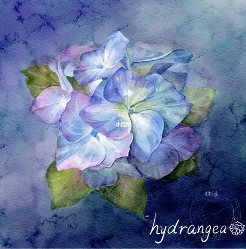 ipad水彩花卉蓝紫绣球花