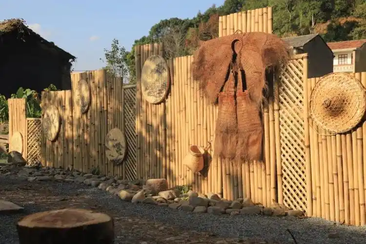 一条路给宁海小渔村增添了诗与远方