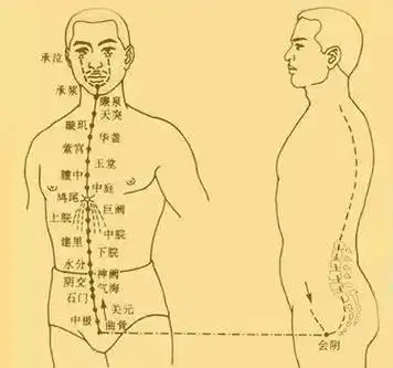 道教养生中"通冲脉"的重大作用