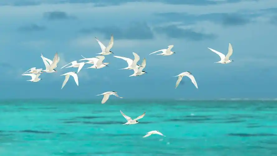 蓝色大海风光美景图片桌面壁纸,风景壁纸,唯美,大海,海边,摄影,自然