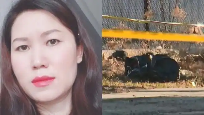 多伦多唐人街惊现女性尸块熟人路过看见死者指甲花纹被吓疯