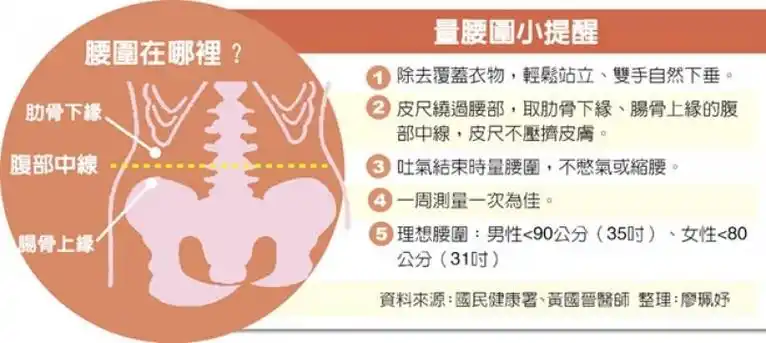 测量全台766名成年男性发现,无论体重标准与否,腰围90公分以上的超标