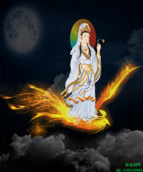 500_600gif 动态图 动图