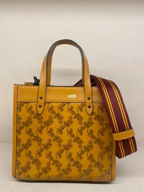 蔻驰十月新款 | 马车植绒22tote 托特包