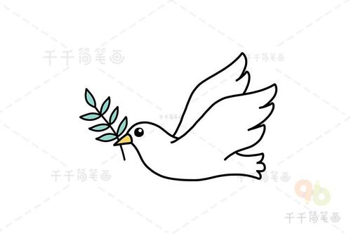 如何画鸽子简笔画