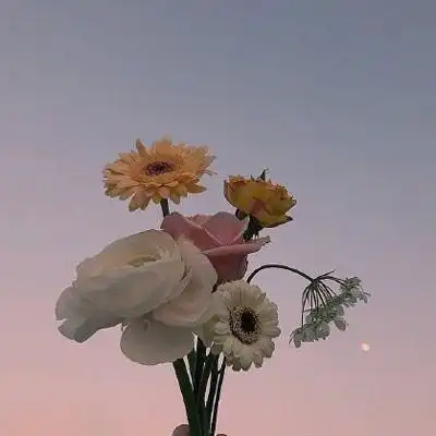 鲜花头像图片大全花束高清好看的头像