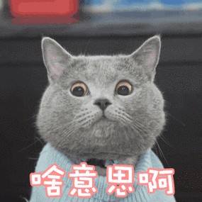猫咪可爱啥意思啊一脸疑问gif动图_动态图_表情包下载_soogif
