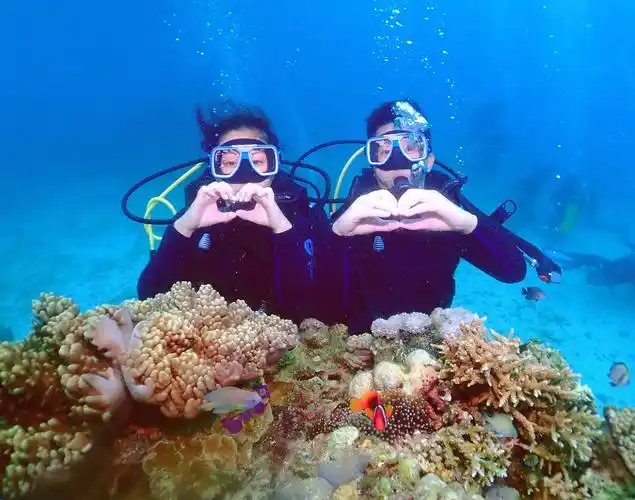 长滩岛深潜体验