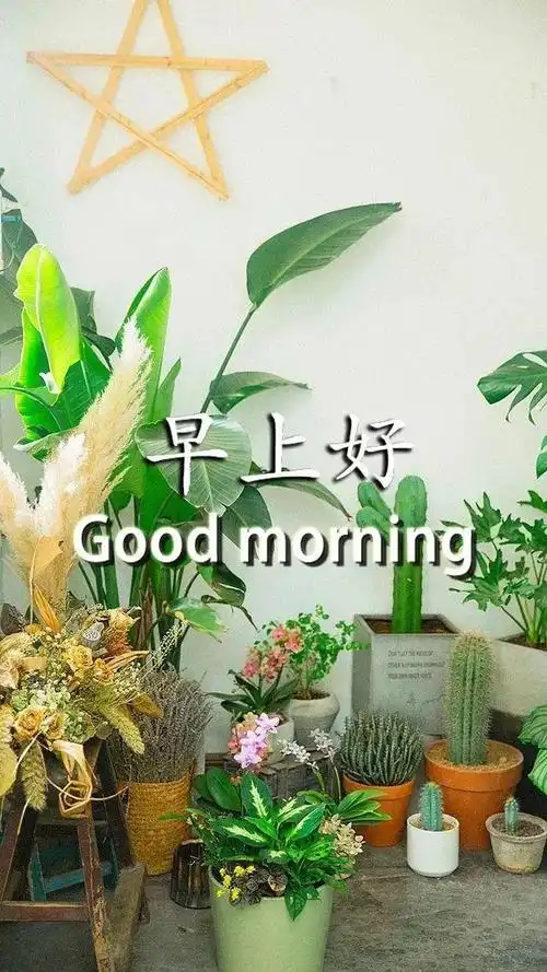 微信朋友圈早晨好问候语图片表情 漂亮早上好问候语动表情图片